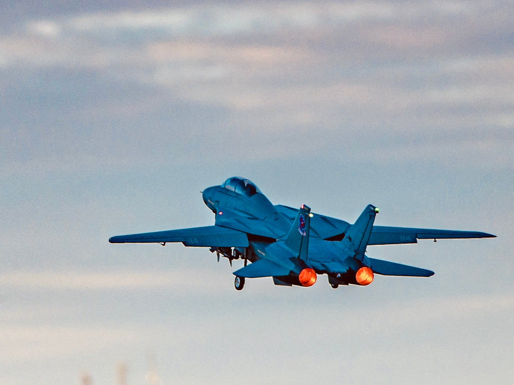 F-14_lg-0004_1024x1024.jpg?v=