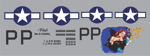 P-38 Shady's Lady Graphics Set