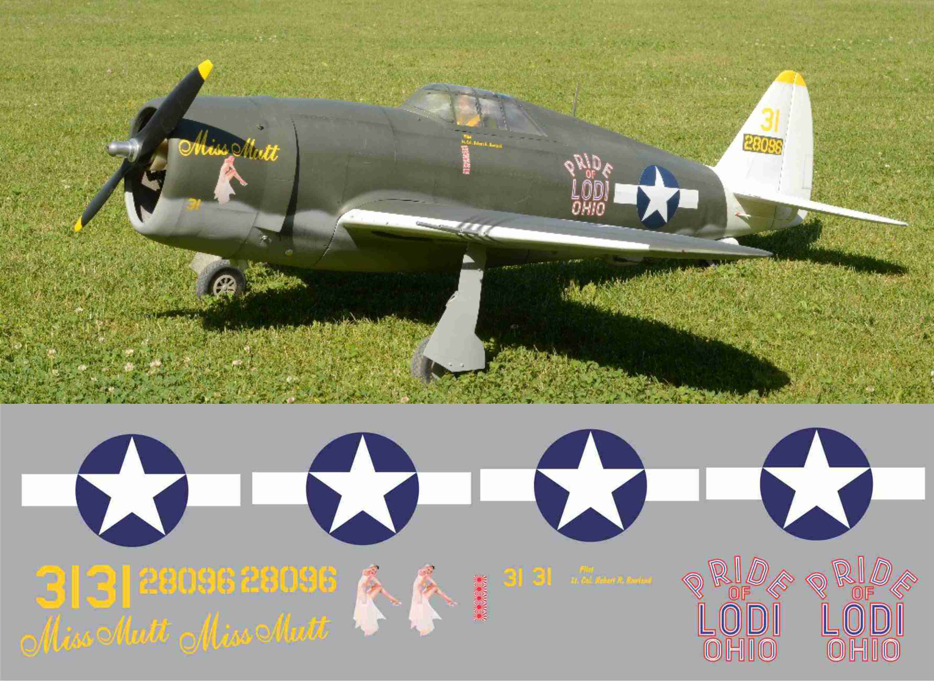 P-47 Miss Mutt/Pride of Lodi Ohio Graphics Set – Callie Graphics