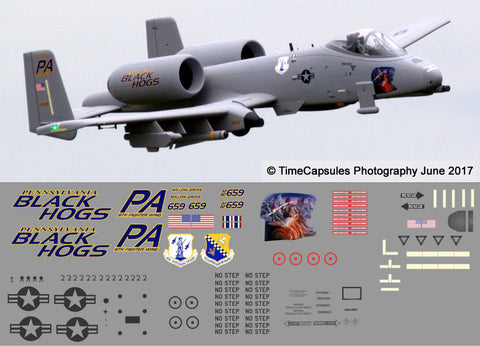 A-10 Pennsylvania ANG Black Hogs Graphics Set