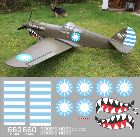 P-40 Boss Hoss Graphics Set