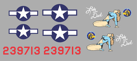 P-61 Lady In The Dark Graphics Set